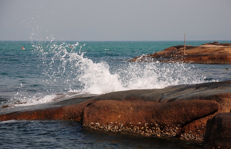 DSC_0376.jpg
