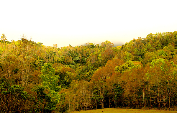 DSC00264.jpg