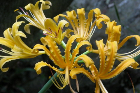 DSCN0201.JPG