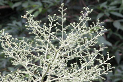 DSCN0172.JPG