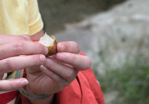 DSCN0016.JPG