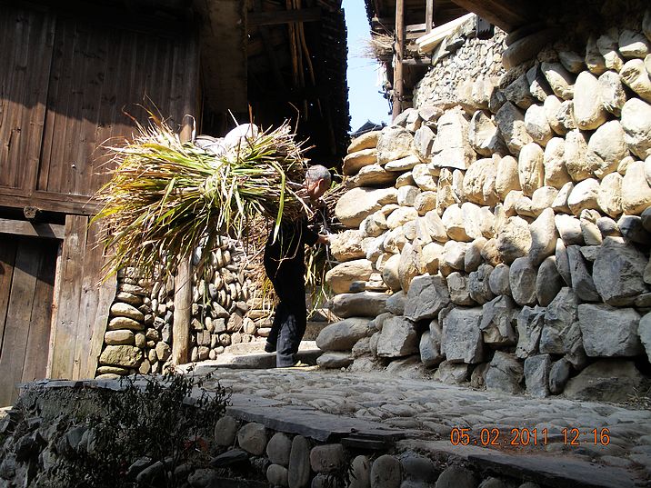 DSCN0287.JPG