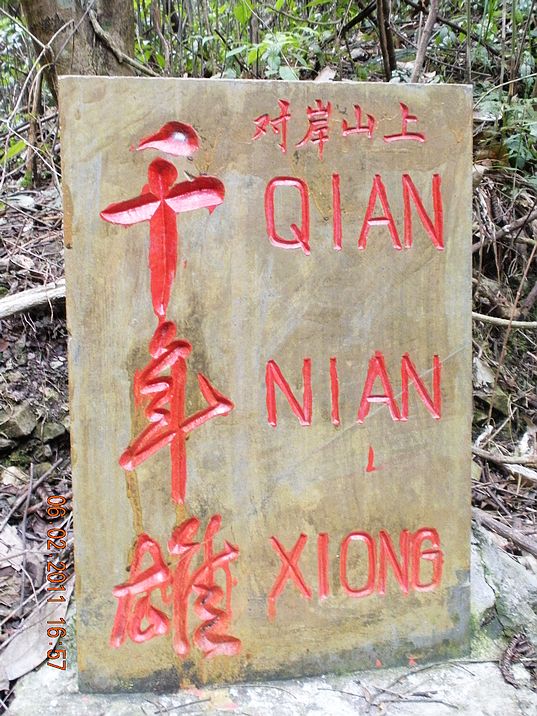 DSCN0385.JPG