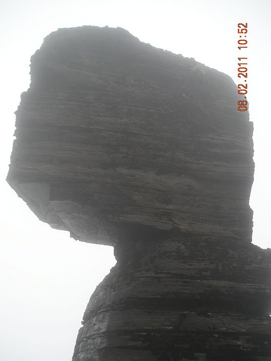 DSCN0499.JPG
