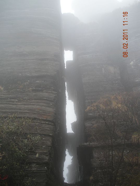 DSCN0508.JPG