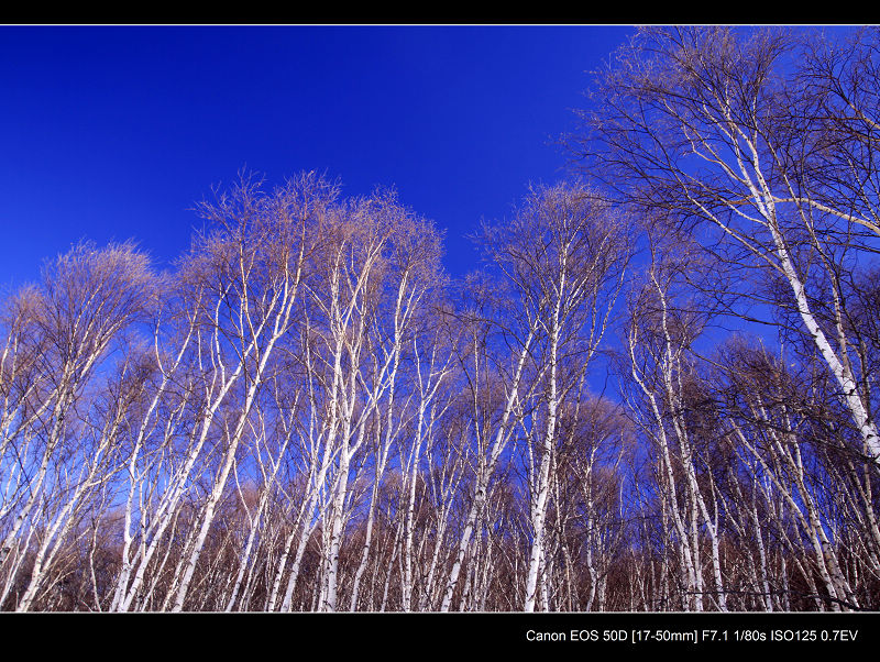 _MG_5137.jpg
