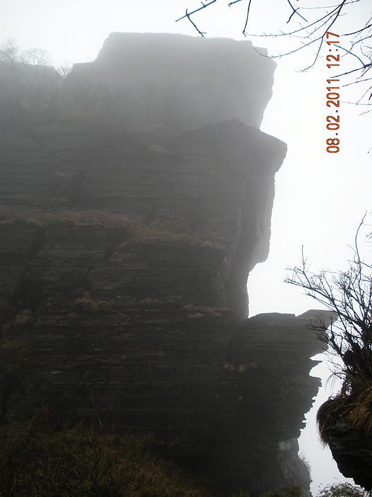 DSCN0531.JPG