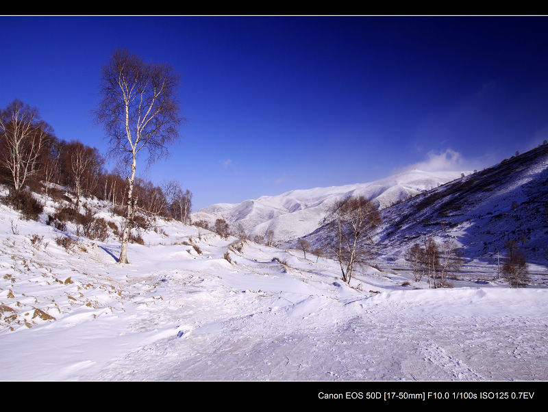 _MG_5074.jpg