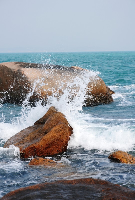 DSC_0438.jpg