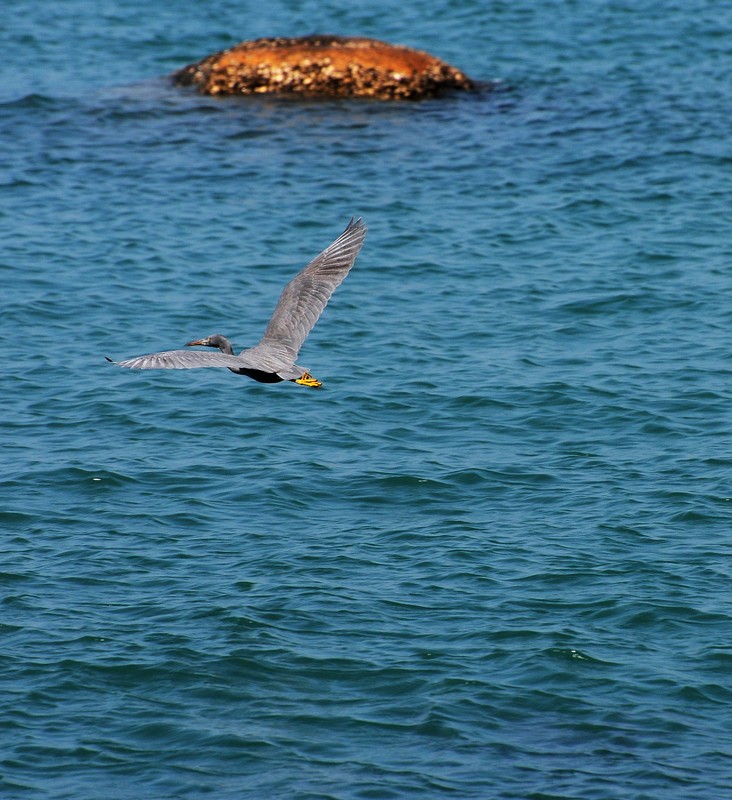 DSC_0555.jpg