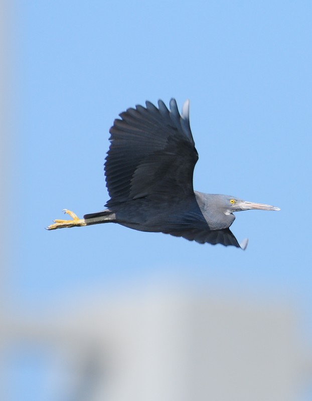 DSC_0639.jpg