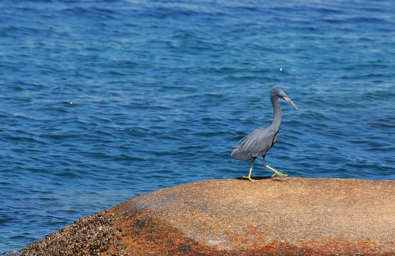 DSC_0542.jpg