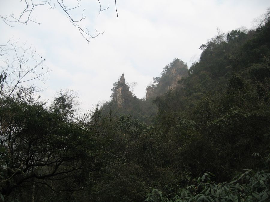 IMG_2561.JPG