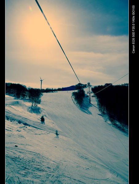 _MG_4633.jpg