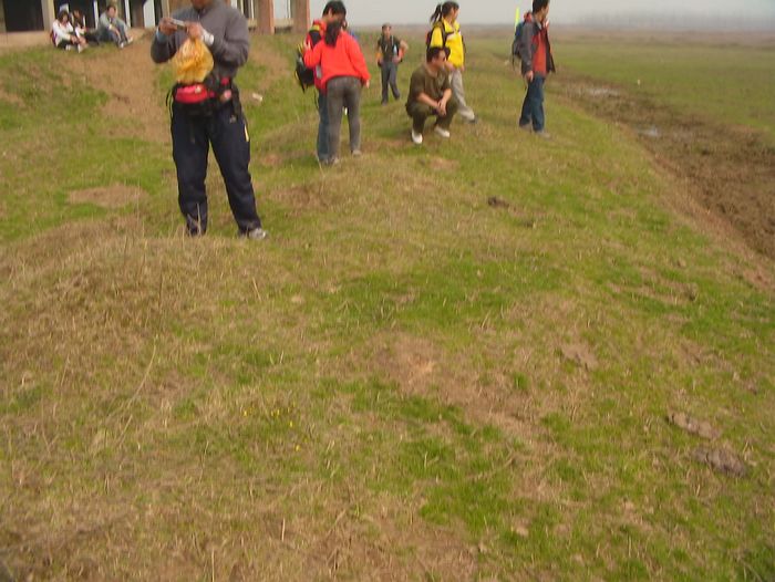DVCI5175.jpg