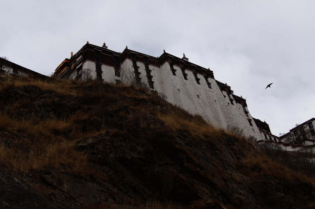 DSC03663_��С��С.JPG