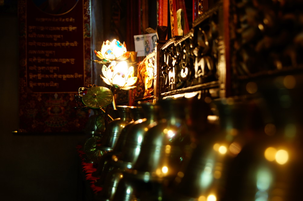 DSC03578_��С��С.JPG