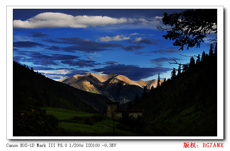 nEO_IMG_746R9881.jpg