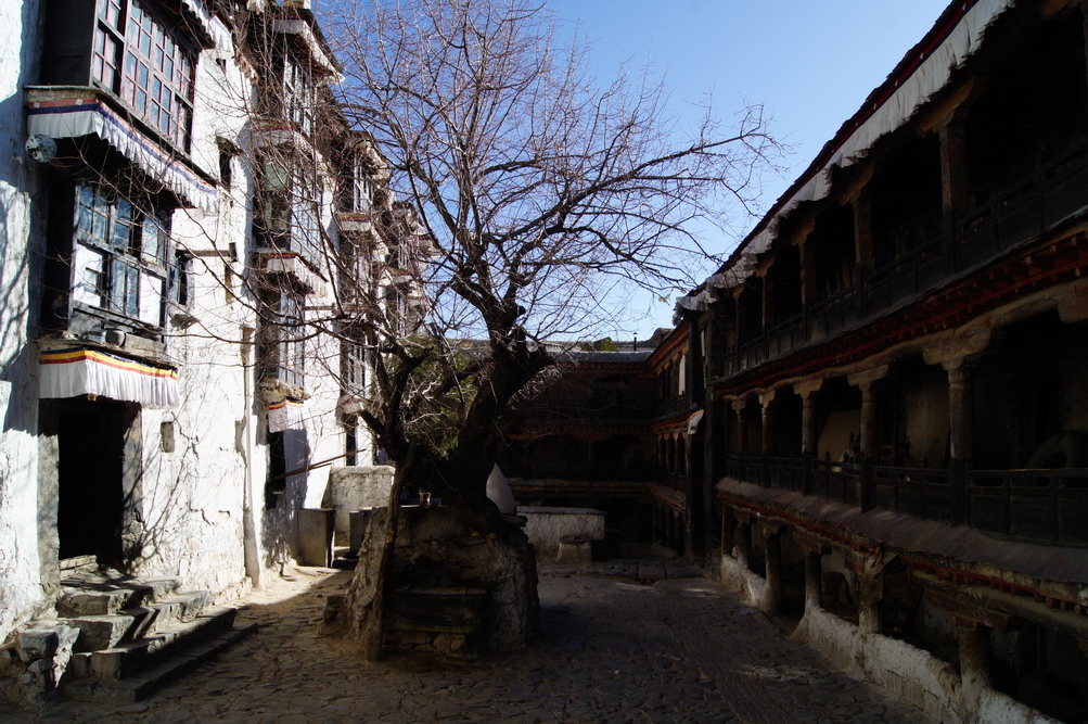 DSC03808_��С��С.JPG