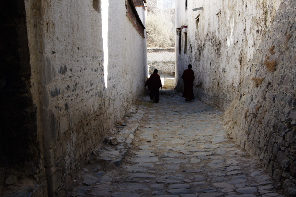DSC03818_��С��С.JPG