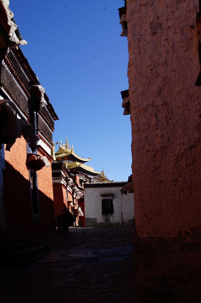 DSC03836_��С��С.JPG