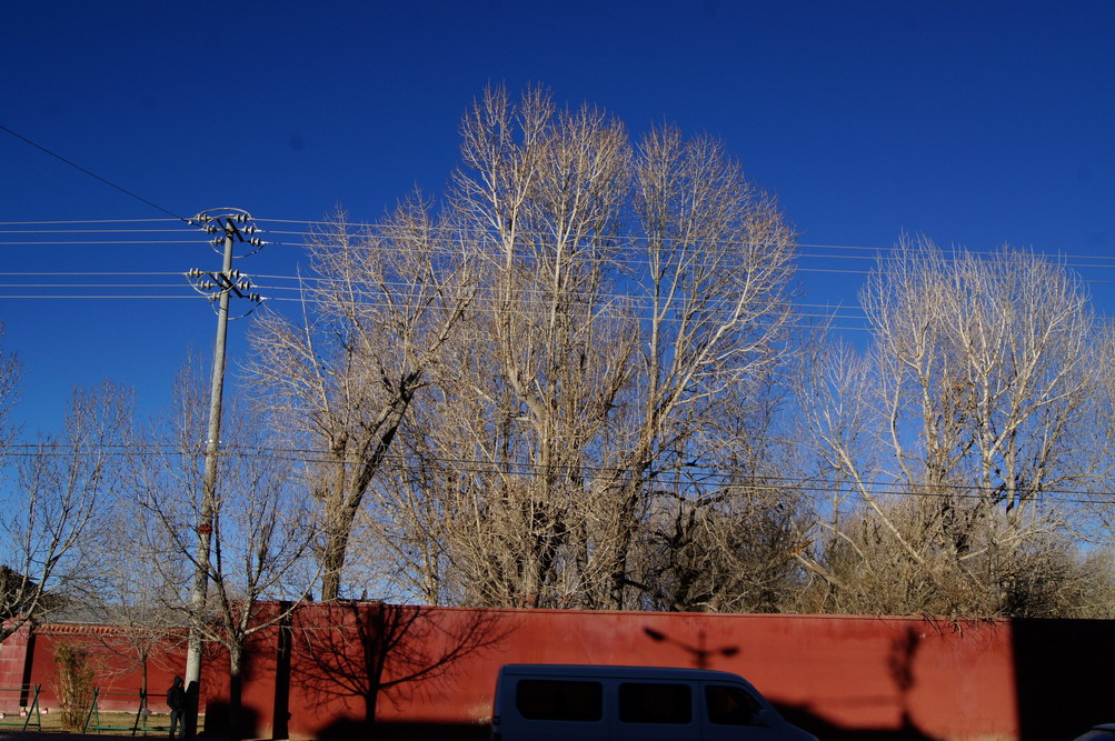 DSC03789_��С��С.JPG
