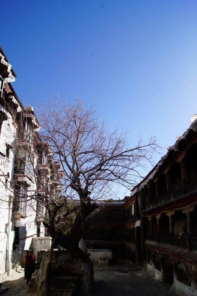 DSC03810_��С��С.JPG