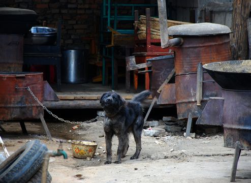 DSC_3901.JPG
