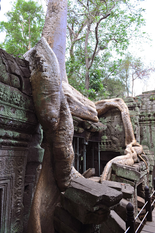 DSC_4718����.jpg