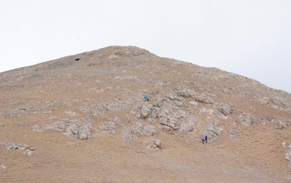 DSC04542_��С��С.jpg