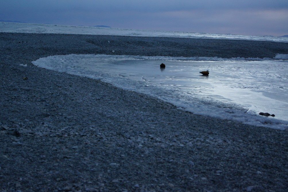 DSC04674_��С��С.JPG