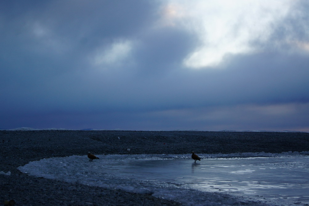 DSC04681_��С��С.JPG