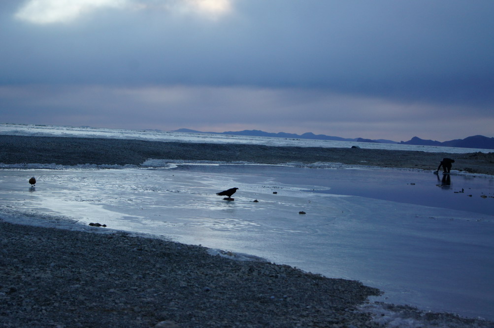DSC04668_��С��С.JPG