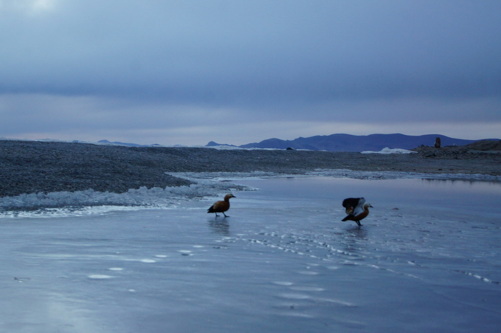 DSC04691_��С��С.JPG