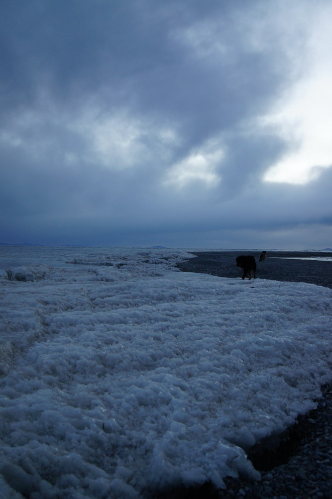 DSC04708_��С��С.JPG