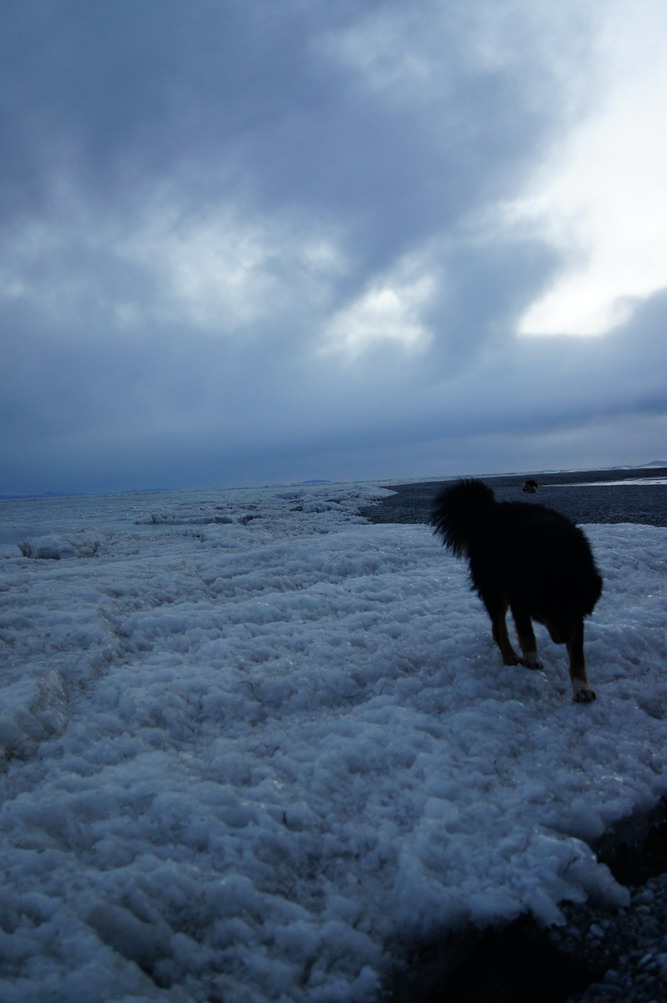 DSC04710_��С��С.JPG