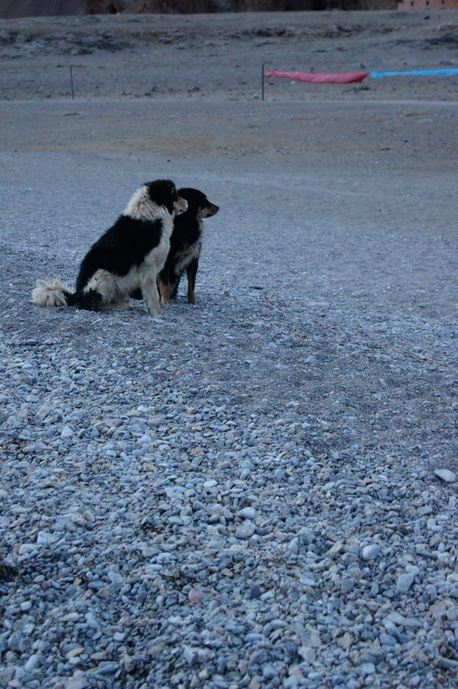 DSC04727_��С��С.JPG