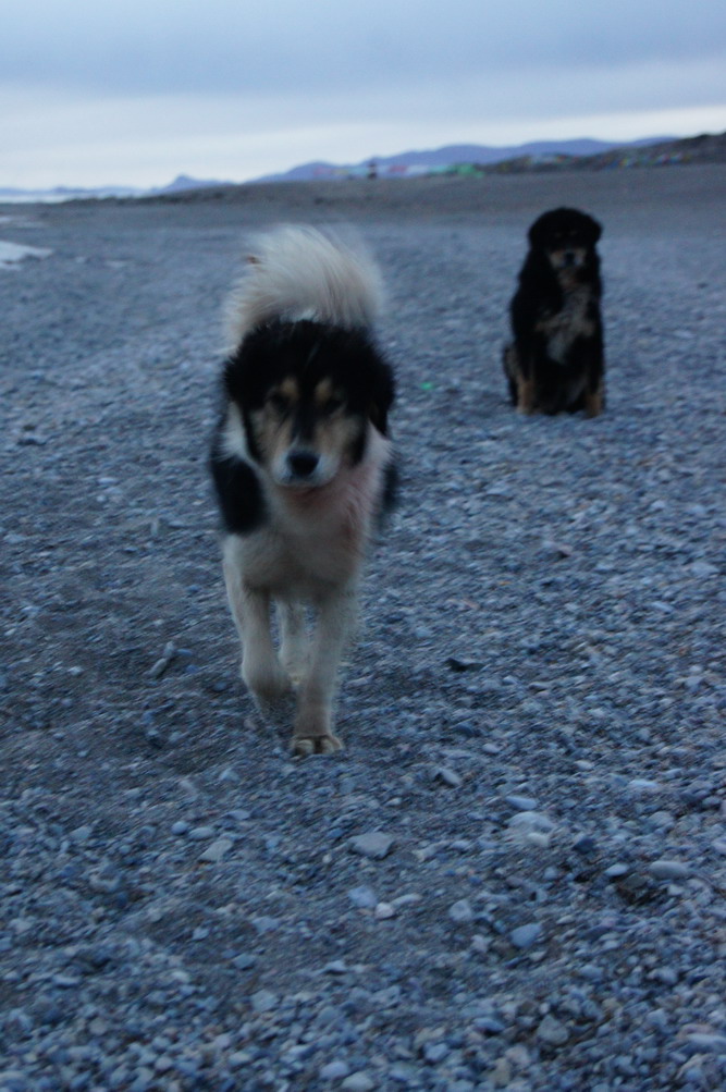 DSC04730_��С��С.JPG