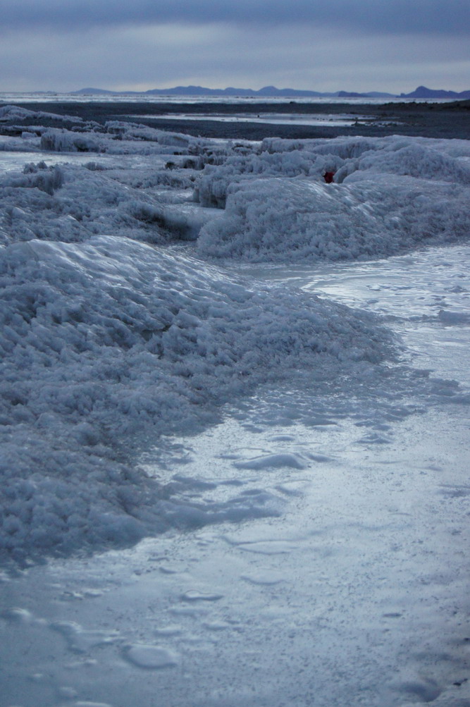 DSC04721_��С��С.JPG