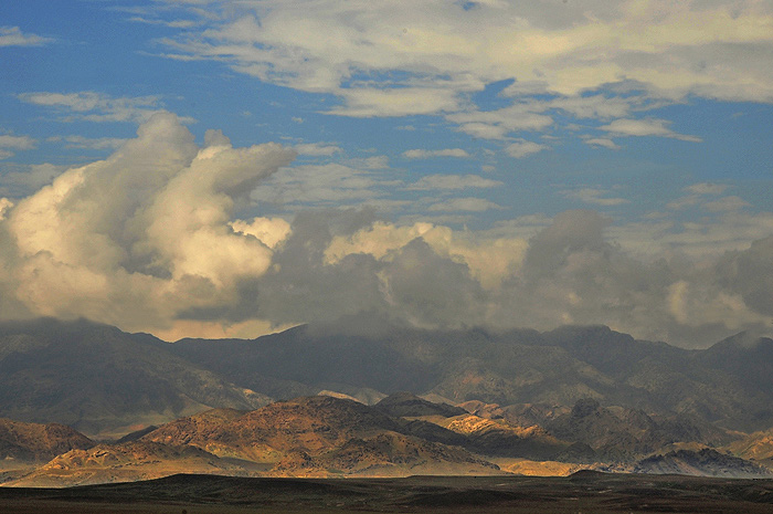 _DSC7295.jpg