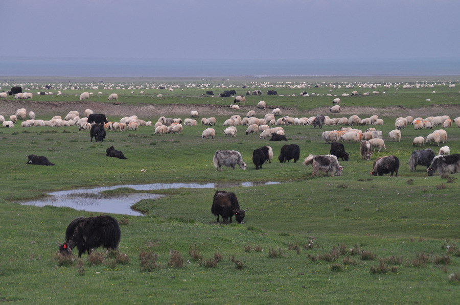 DSC_0364.JPG