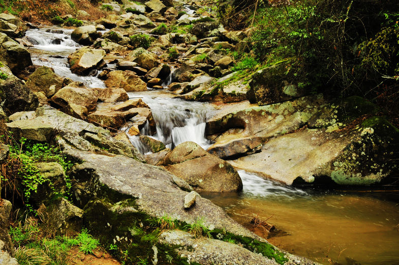 _DSC2444.jpg