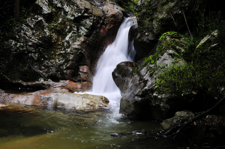 _DSC2670.jpg