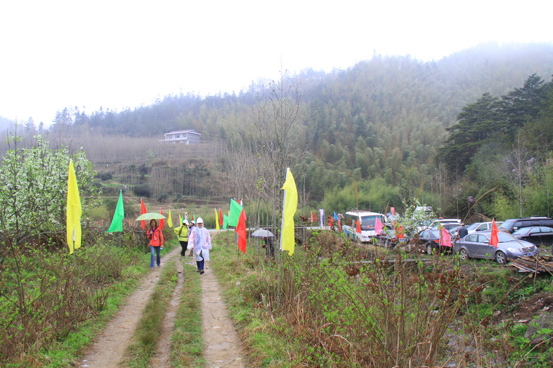 IMG_6032_1.JPG