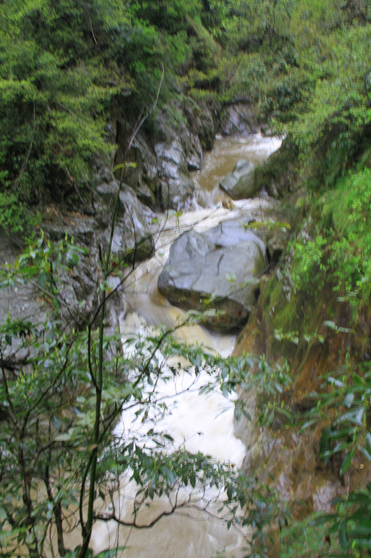 IMG_6176.JPG