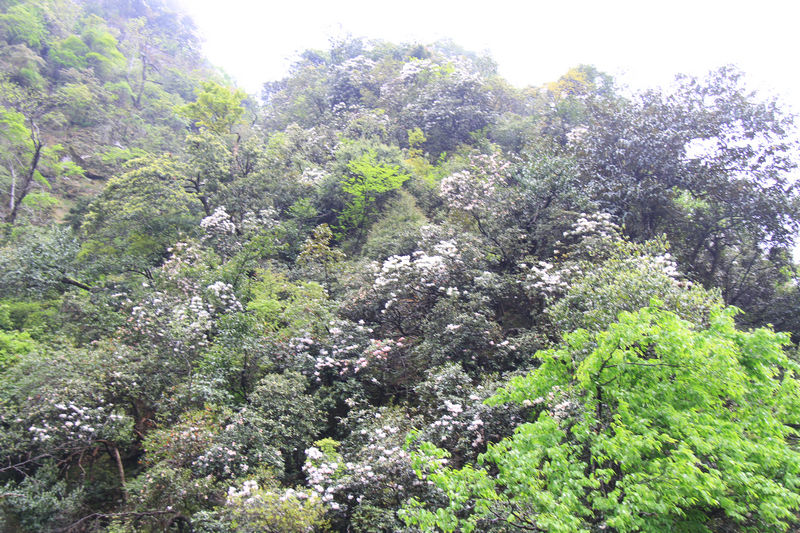 IMG_6170.JPG