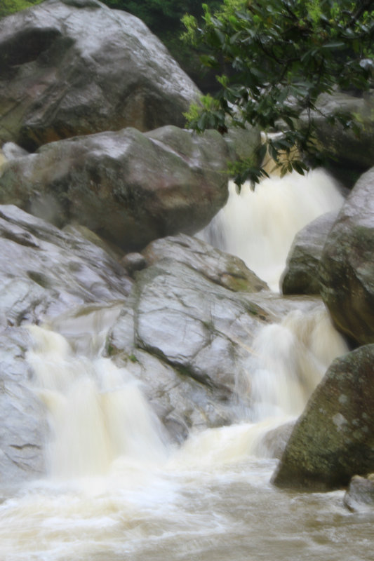 IMG_6192.JPG