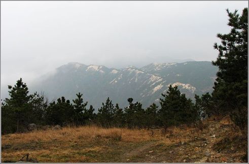 2008011420160186256[1].jpg