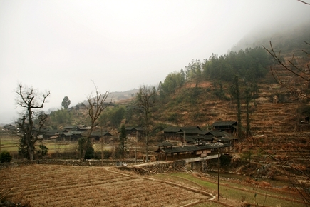 20080114185805948853[1].jpg