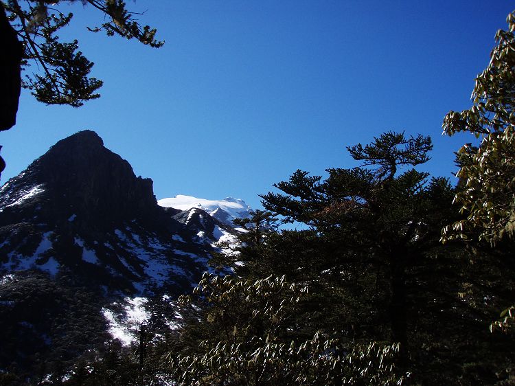 200804242318026557749-1552123[1].jpg